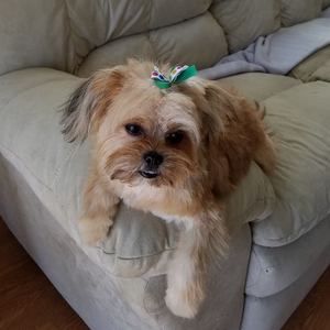 Meet your Posher, Jo-ann